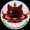 Cats in Space Концерты