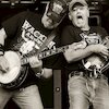 Hayseed Dixie Tickets