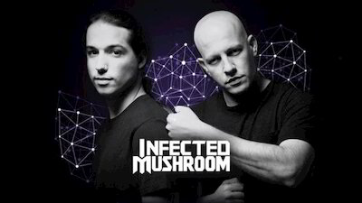 Infected Mushroom