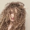 Tal Wilkenfeld Концерты