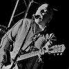 The Black Sorrows Концерты