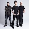 The Fratellis Концерты