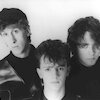 The Icicle Works Tickets