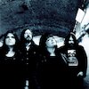 The Magic Numbers Концерты