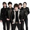 The Pigeon Detectives Концерты